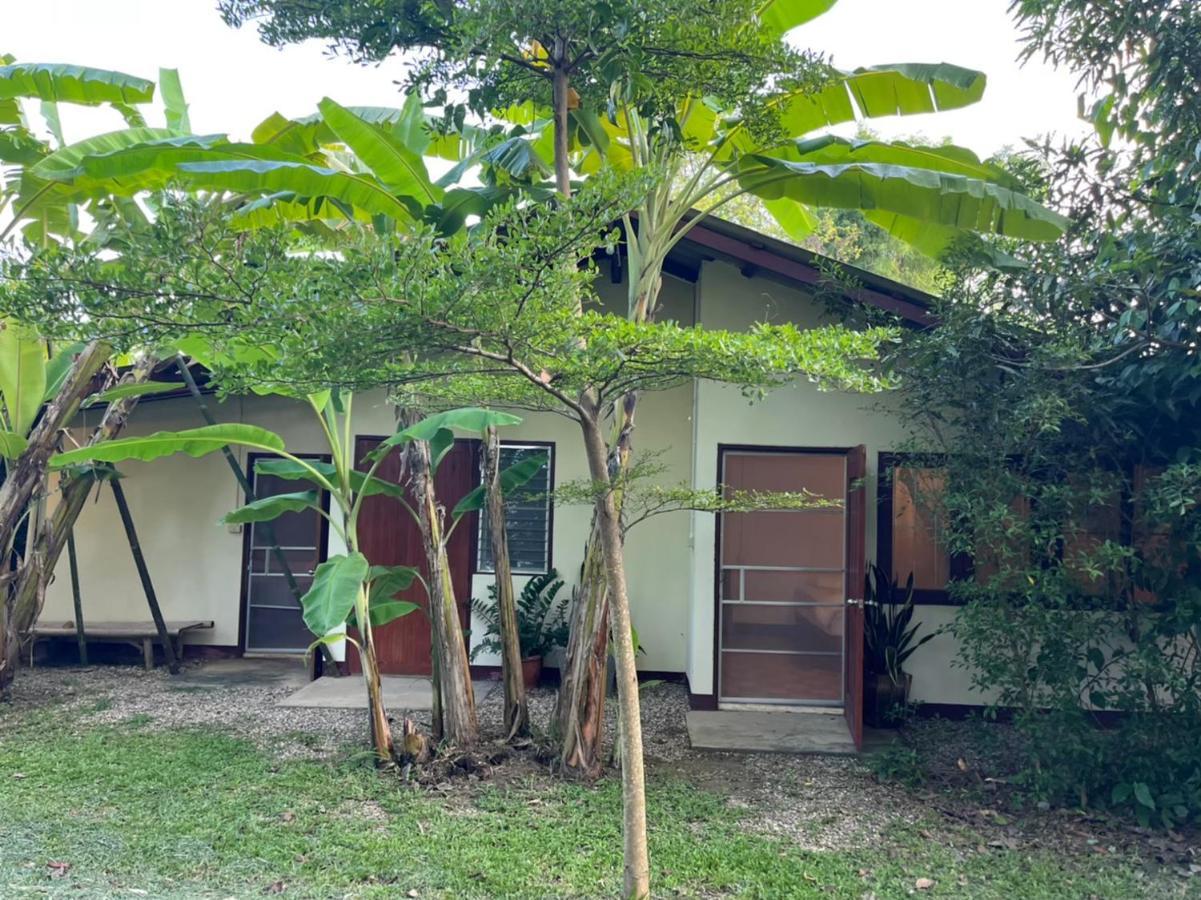 Brown House Chiangdao Hostel เชียงดาว ภายนอก รูปภาพ